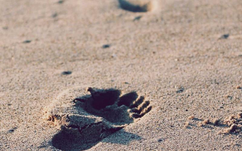 Social Media Evolution: Where We Go Next